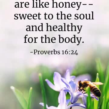 It’s wonderful to fill your day with the everlasting word