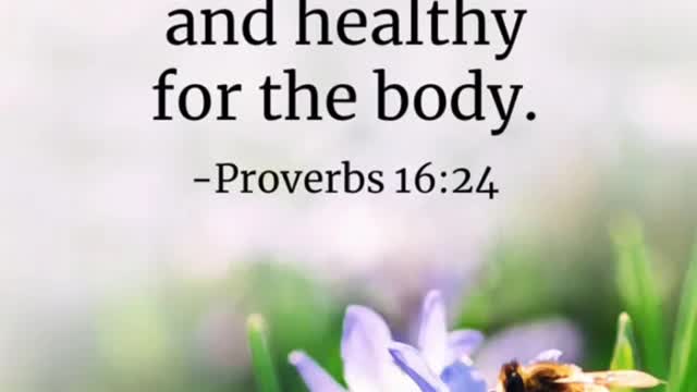 It’s wonderful to fill your day with the everlasting word