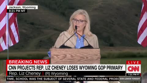 Liz Cheney is our Abraham Lincoln - just ask her...