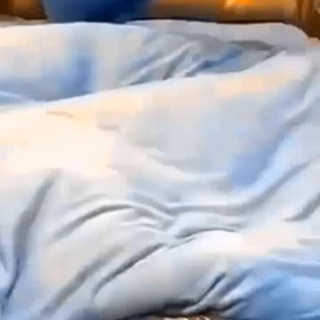 Amazon Kitchen products Smart gadgets & items for every home # 45 "Gr liton Home Gadgets"