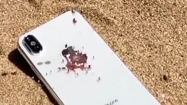 Oddly satisfying video #shorts #oddlysatisfying #satisfying
