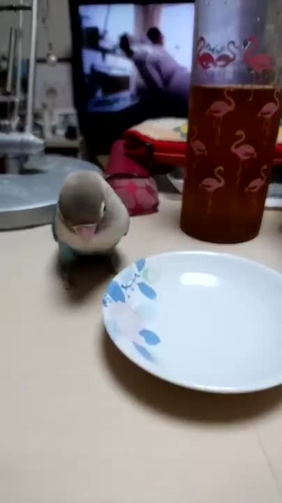 while we have nothing to do 😂😂🤣🤣🤦‍♂️