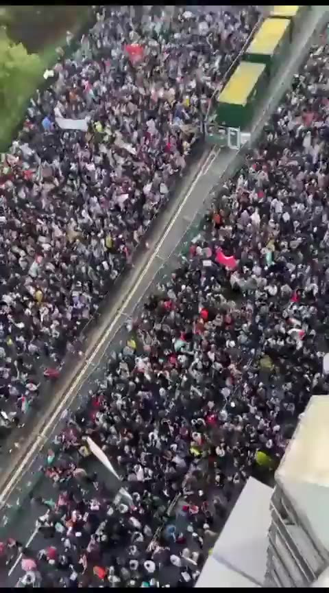 Massive pro-Palestine protest in London October 28, 2023