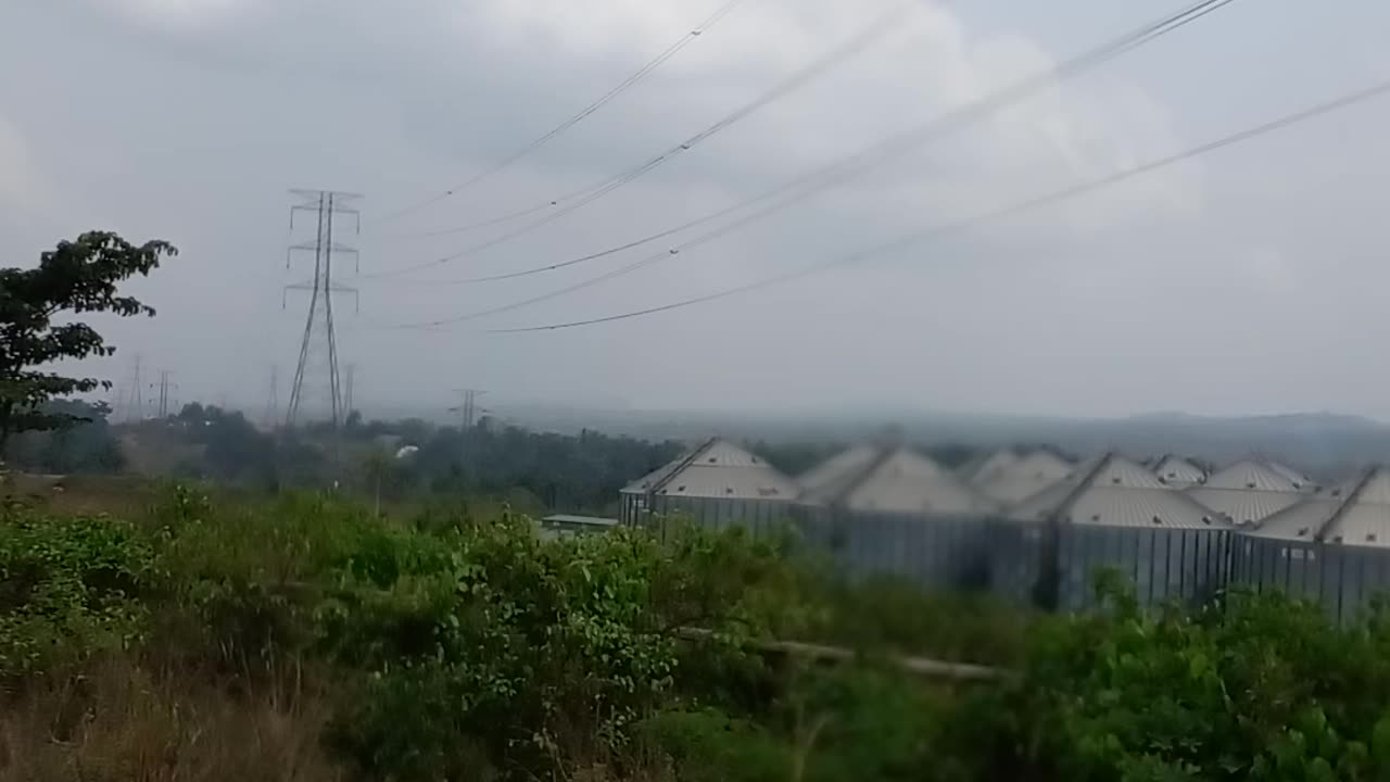 Beautiful forest vegetation in Nigeria