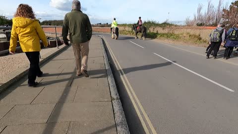 2 horses and their riders. By the sea.