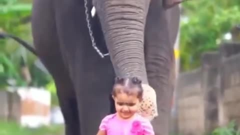 Cute girl with elephant