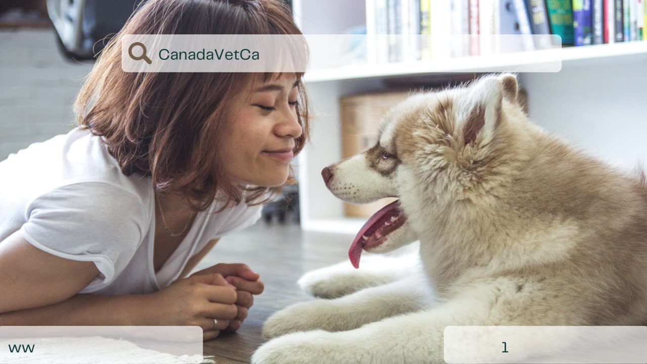 Canadavetcare Super Sale - 20 % Off + Extra Offers. Buy Now & Save Big!