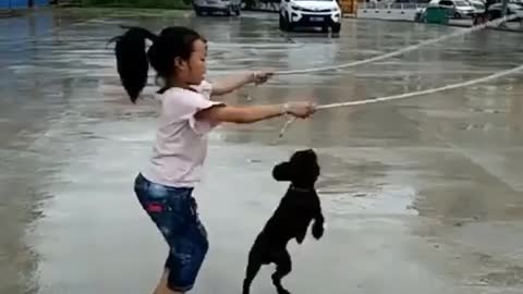 Cute Dog Videos