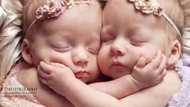 Cute Baby Twins