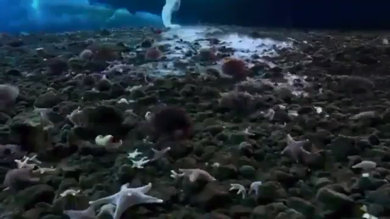 The brinicle of death- an underwater icicle that freezes and kills everything in its path