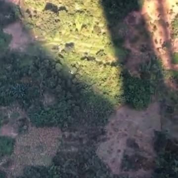 The growth of wealth and the increase of leisure are the two major elements of human civilization