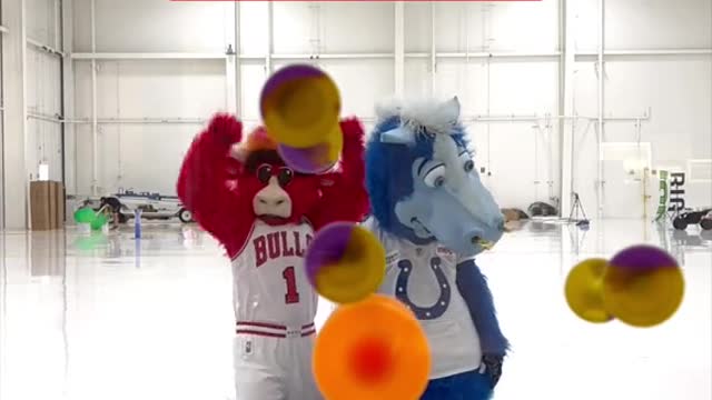 Benny the Bull vs the blue pop darts