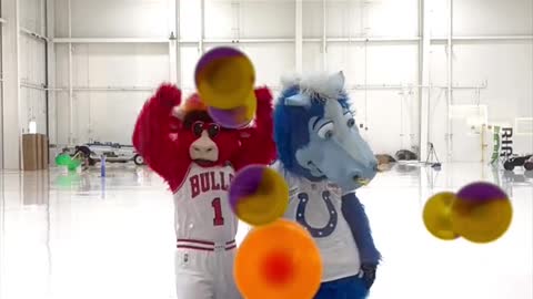 Benny the Bull vs the blue pop darts