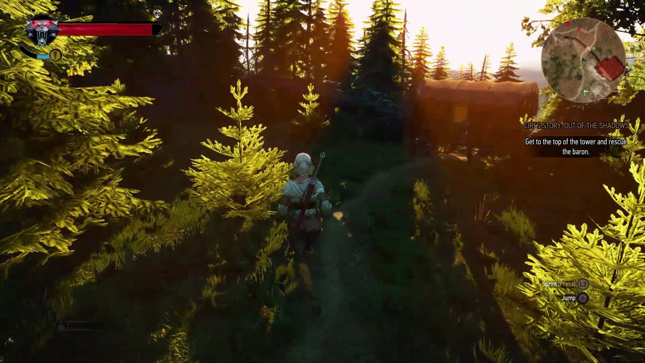 The Witcher 3 - Ciri's Story - The Race - Out of the shadows