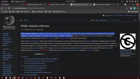 99_What is public domain software?