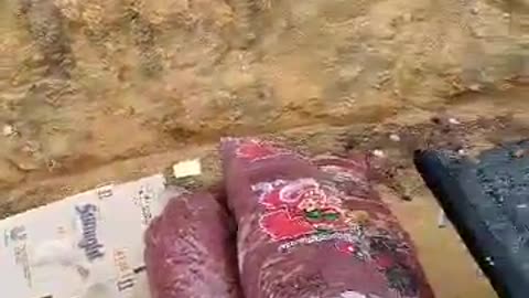 MAN CAUGHT WITH STOLEN LIVESTOCK IN MPUMALANGA MEAT HEIST 2