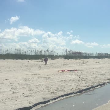 Island Hopping on Cayo Costa State Park, Florida