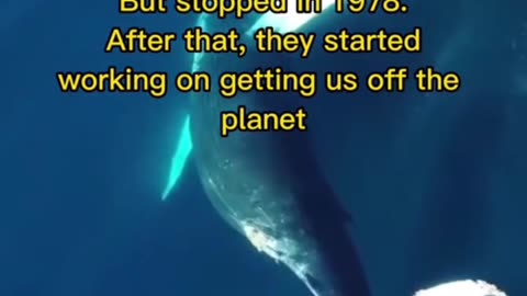 NASA Ocean Conspiracy