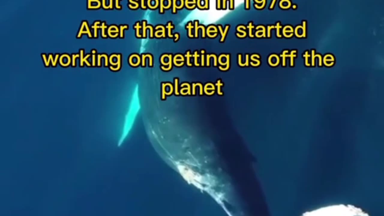 NASA Ocean Conspiracy