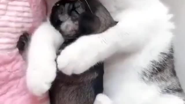 This pup is mine, all mine !!🤗