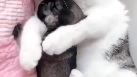 This pup is mine, all mine !!🤗