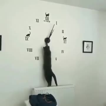 They messed up all our settings. 🐾😁🐾🙏