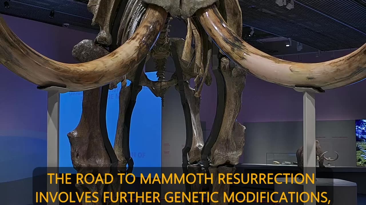 Are Woolly Mammoths Making a Comeback?