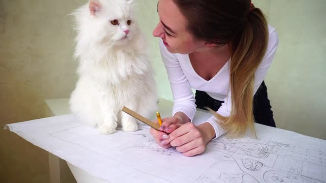 Woman stroking big white cat, which sitting on table