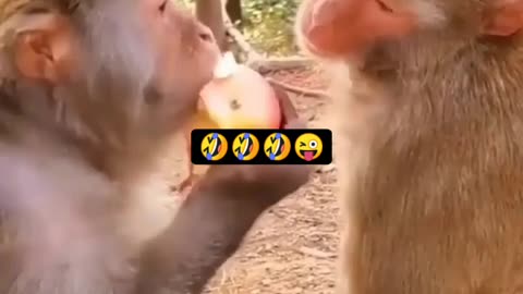 Indian best fanny video