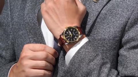 POEDAGAR Luxury Business Man Wristwatch 