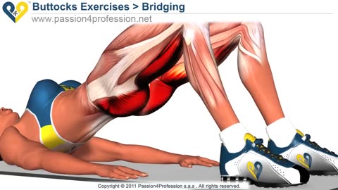 Exercise for the buttocks