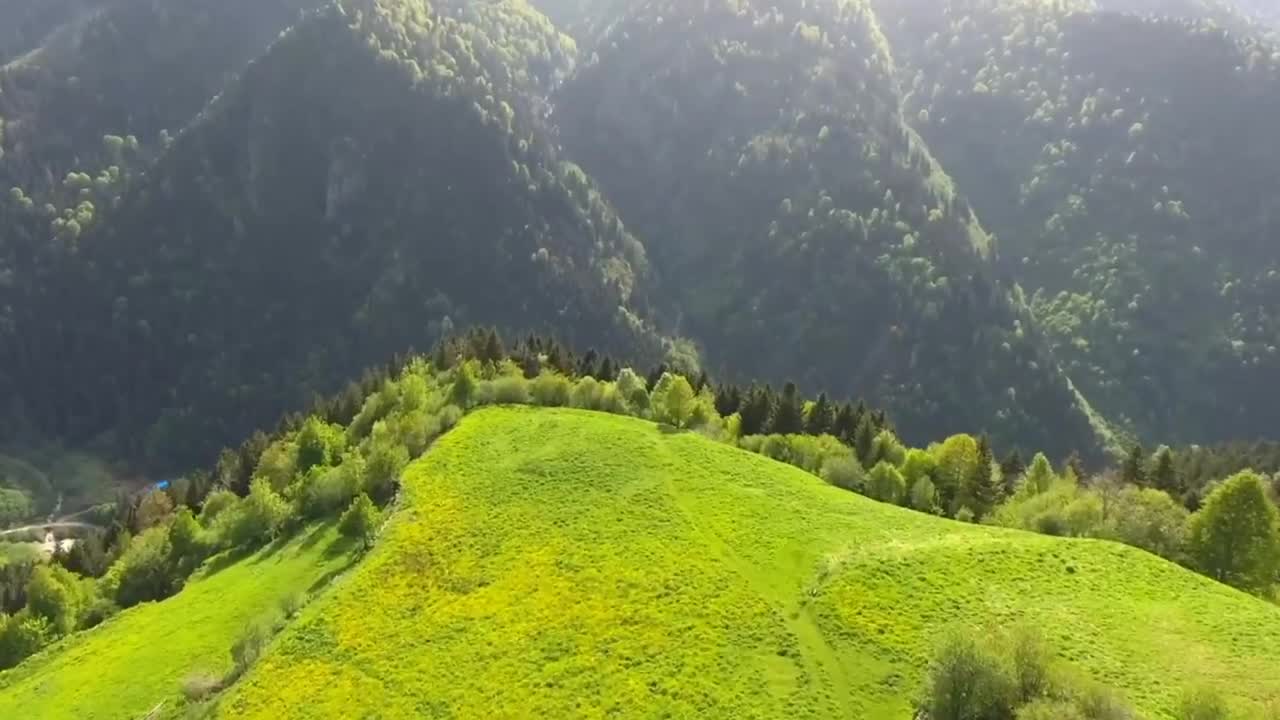 Relaxing Music | Sleeping, Meditation, Stress Relief | [780] ⭐️