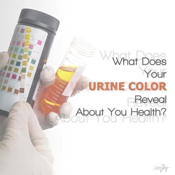 What Does Your Urine Color Reveal About Your Health?