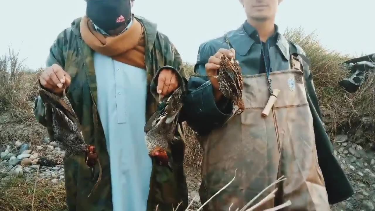 This video is about Duck Hunting. In pakistan with my friends some memories