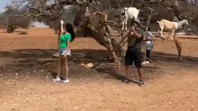 Η ΚΑΤΣΙΚΙΑ ΚΑΙ Η ΦΩΤΟ.