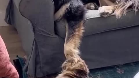 Don’t need you to do anything just be there 😂