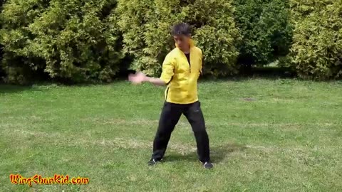 5 Tai Chi Self Defense Fighting Combat Techniques