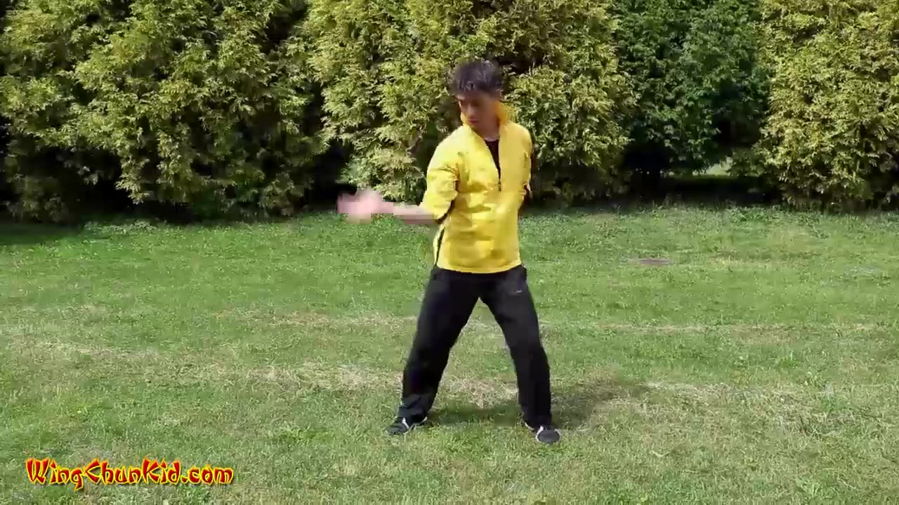 5 Tai Chi Self Defense Fighting Combat Techniques