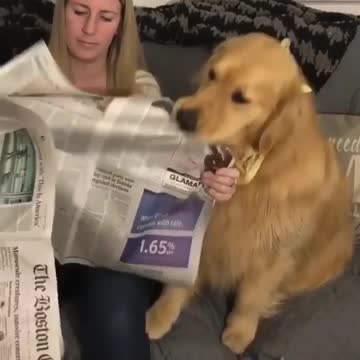 When you see a fake news