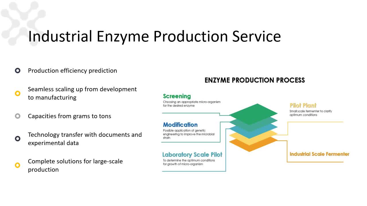 Something you may want to learn about Creative Enzymes