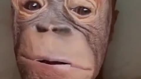 MPOX