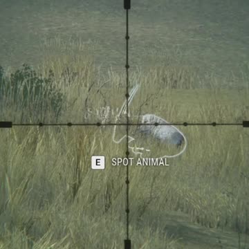 Batter You Up in Hunter Call of the Wild