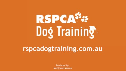 Dog training videos