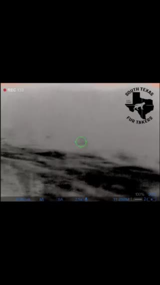 Coyote calling with the convergent bullet hp