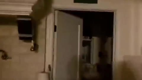 Raccoon Makes Himself At Home #raccoon, #fails, #funny, #screaming, #funnyvideo, #funnyanimals