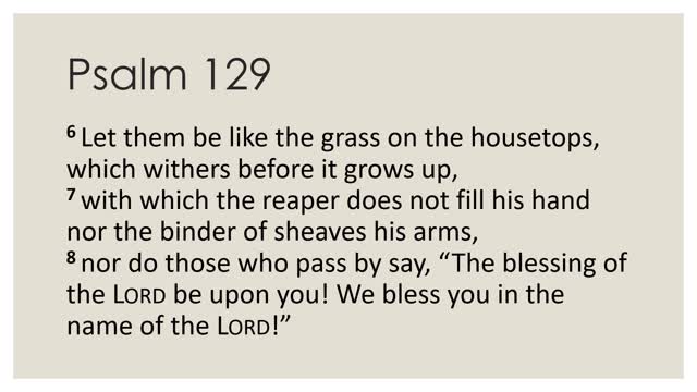 Psalm 129 Devotion