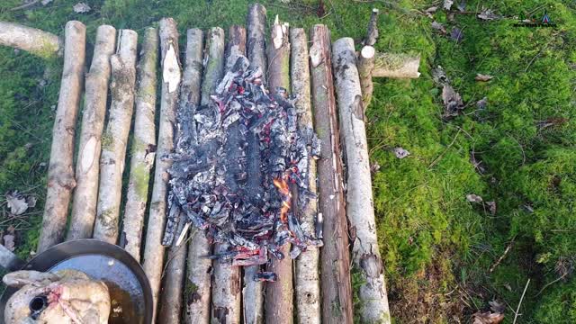 whole chicken prepared in the forest relaxing cooking