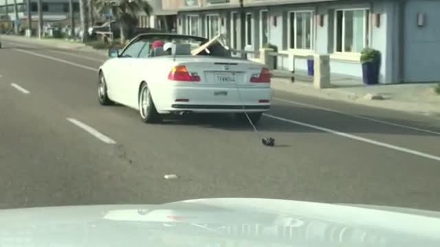 White car with white surf board dragging string