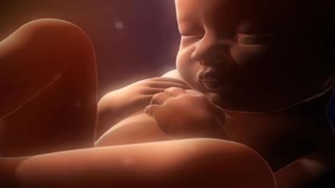 Звуки в утробе матери для сна малыша. Sounds in the womb To calm and sleep the baby.