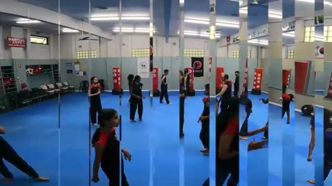 Hapkido